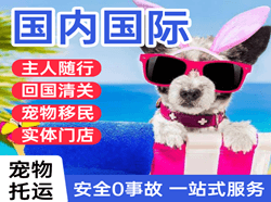 敦煌莫高机场快运国际宠物托运 【国